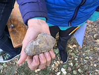 Fossil in hand